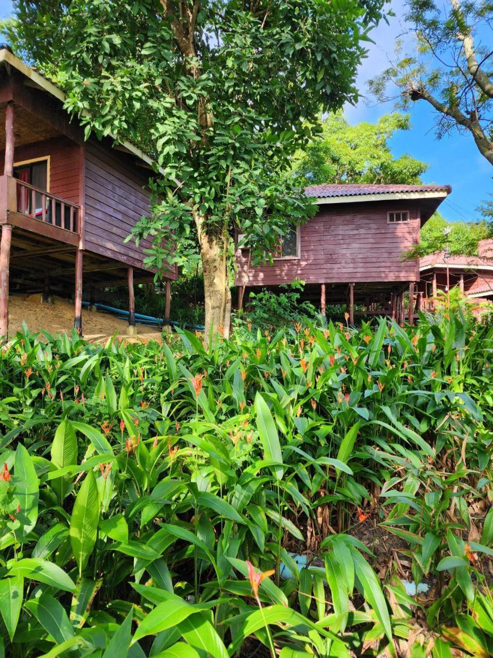 Kaoh Touch Sweet Jungle Bungalows מראה חיצוני תמונה